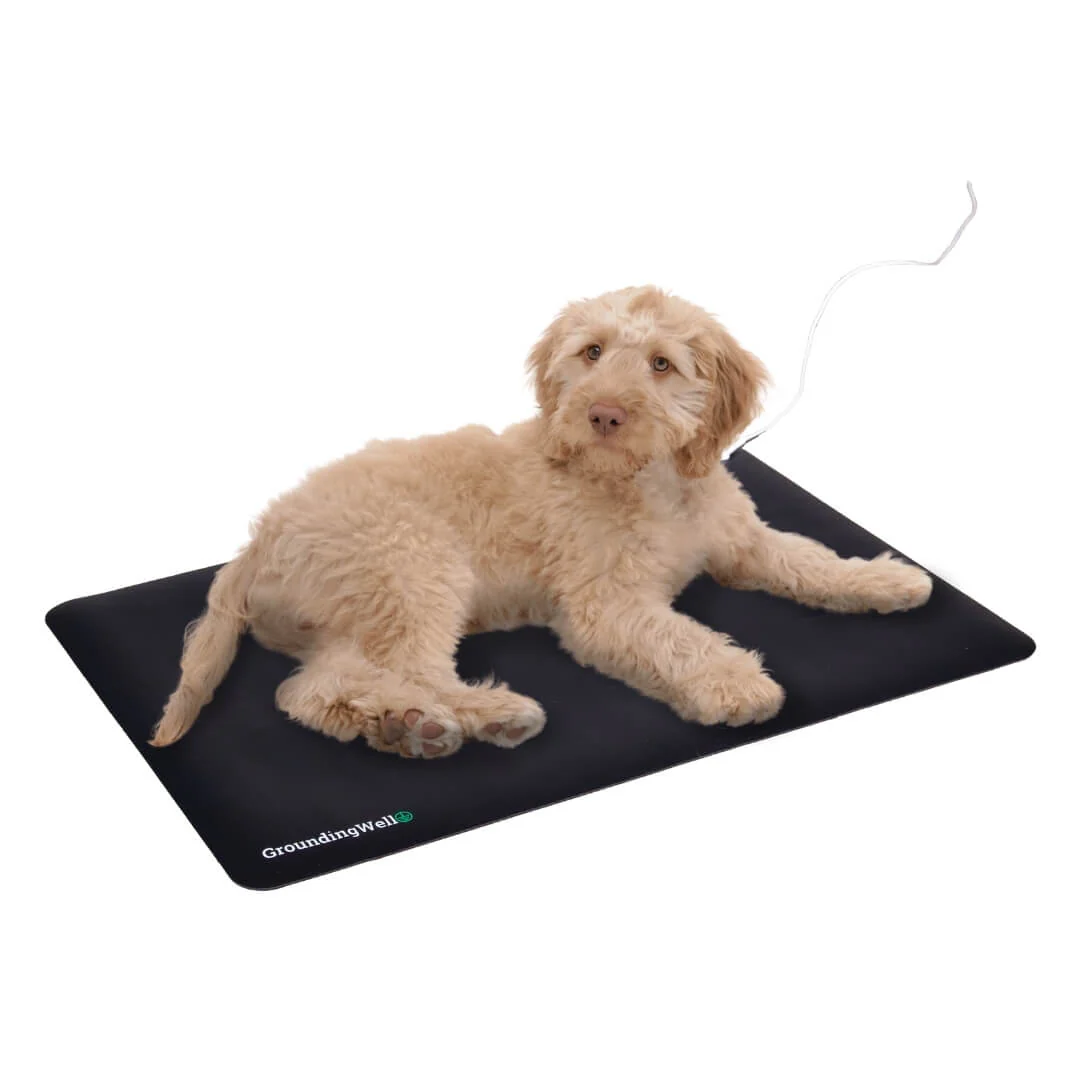 GroundingWell™ Pet Mat - Image 17