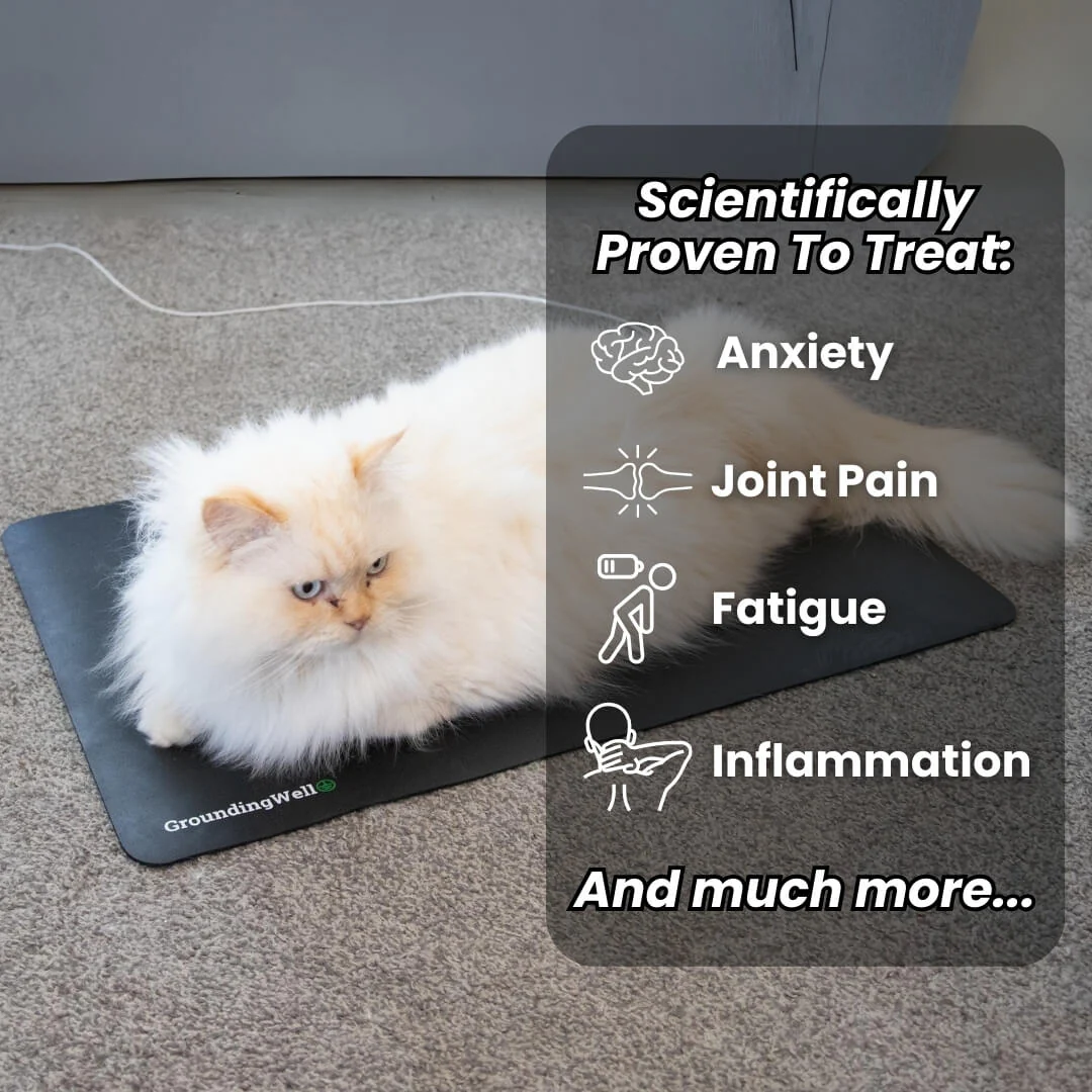 GroundingWell™ Pet Mat - Image 23
