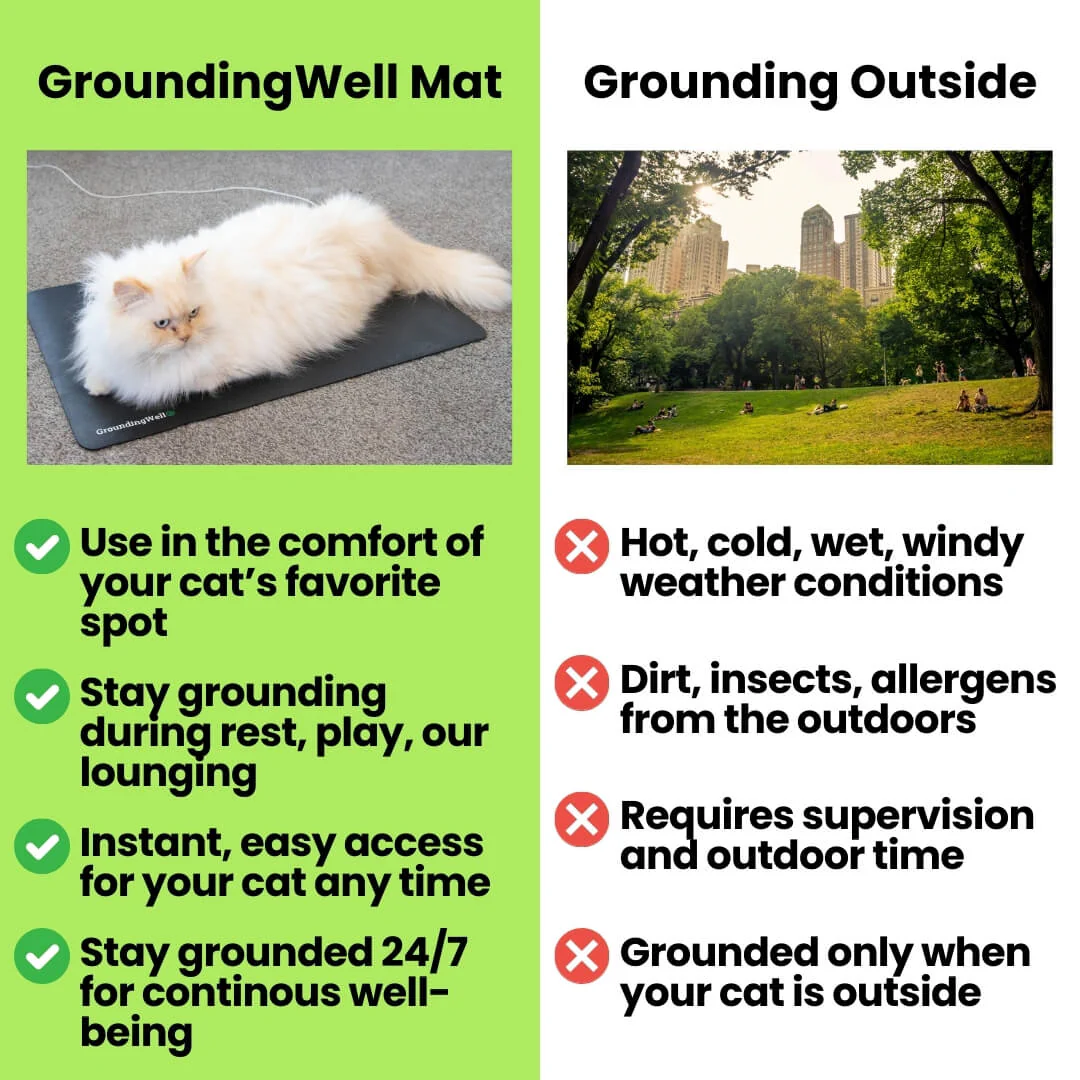 GroundingWell™ Pet Mat - Image 25